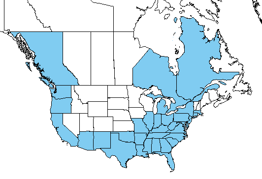 Hairy bittercress USDA range map