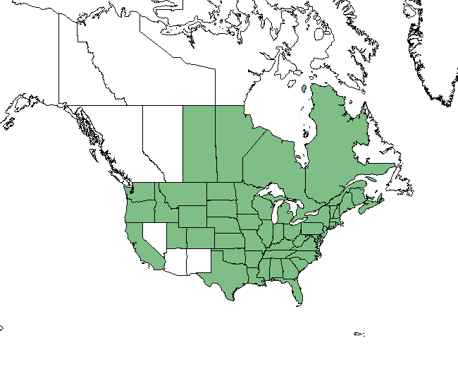 Jerusalem artichoke USDA range map