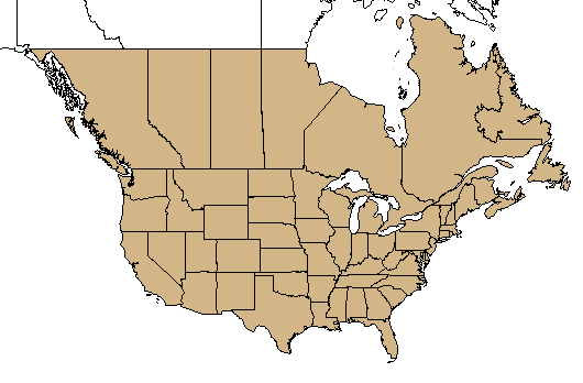 USDA Oxalis L. range map