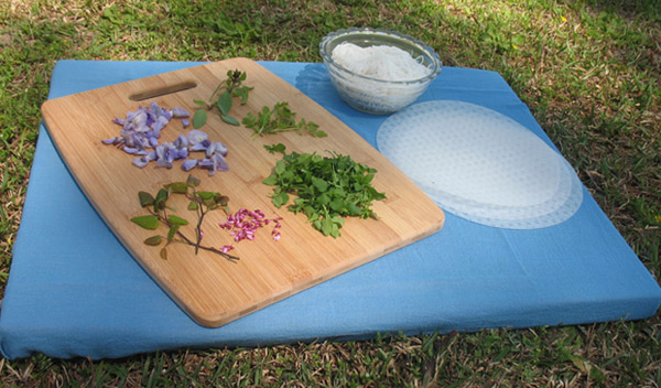 Spring roll ingredients - wisteria, basil, chickweed and redbud Spring roll ingredients - wisteria, basil, chickweed and redbud