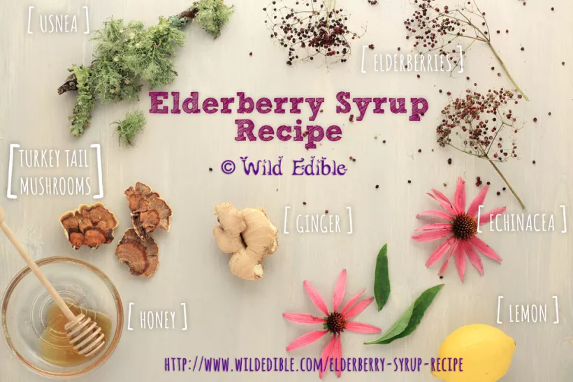 Elderberry syrup recipe ingredients