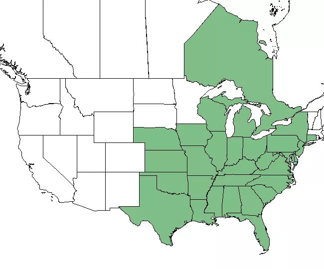 NRCS/PLANT database pawpaw range map