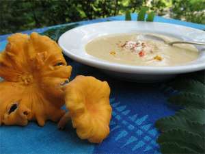 chanterelle bisque