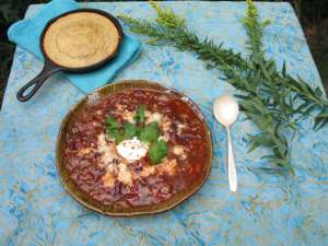 venison chili