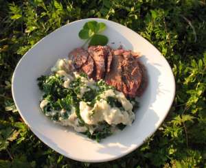 Corned Venison Corned Venison