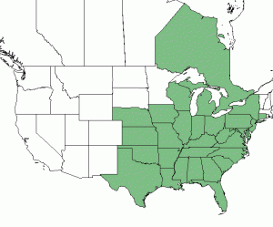 NRCS/PLANT database pawpaw range map