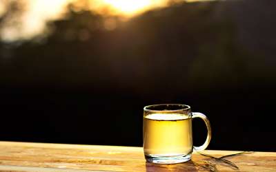Pine needle tea